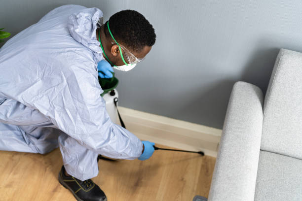 Best Bed Bug Extermination  in Memphis, MI